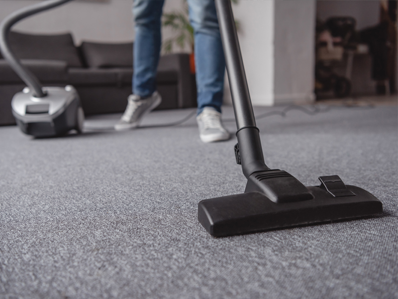 Limpieza Profesional de Alfombras
